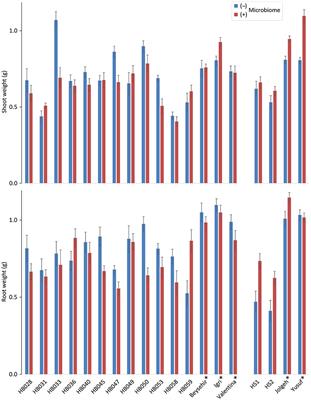 Responsiveness of Elite Cultivars vs. Ancestral Genotypes of Barley to Beneficial Rhizosphere Microbiome, Supporting Plant Defense Against Root-Lesion Nematodes